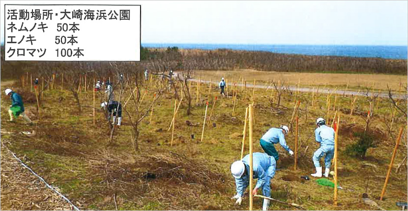「大崎海岸の森づくり」整備活動 写真